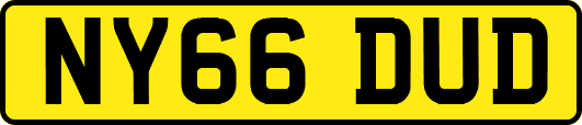 NY66DUD