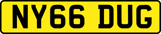 NY66DUG
