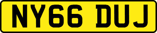 NY66DUJ
