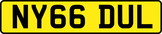 NY66DUL