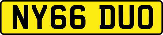 NY66DUO