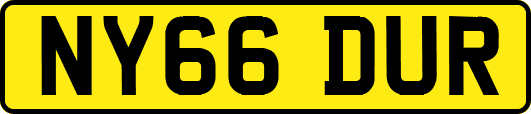 NY66DUR