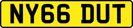 NY66DUT