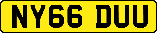 NY66DUU