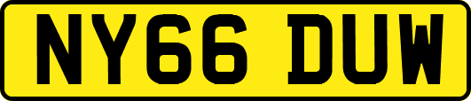 NY66DUW