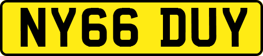 NY66DUY