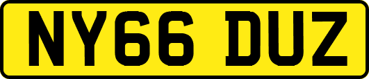NY66DUZ
