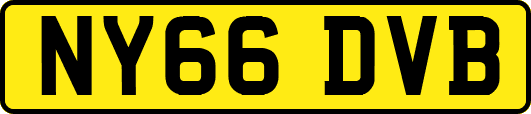 NY66DVB