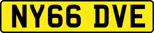NY66DVE