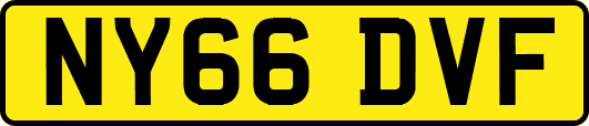 NY66DVF