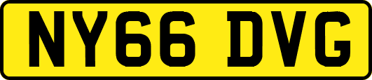 NY66DVG