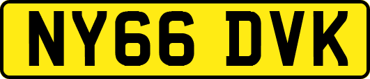 NY66DVK