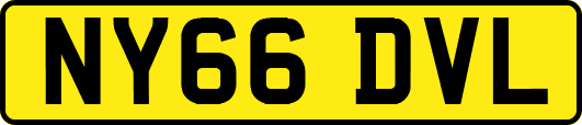 NY66DVL