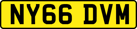 NY66DVM