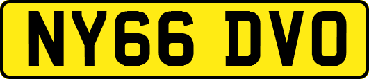NY66DVO
