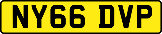 NY66DVP