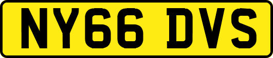 NY66DVS