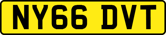 NY66DVT