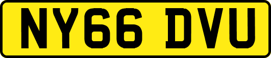NY66DVU