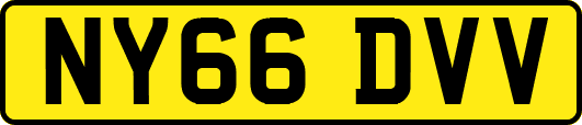 NY66DVV