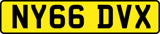 NY66DVX