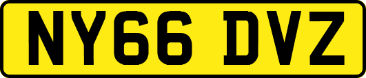 NY66DVZ