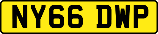 NY66DWP