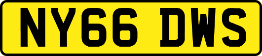 NY66DWS