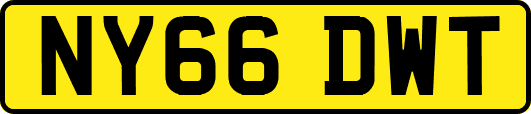 NY66DWT