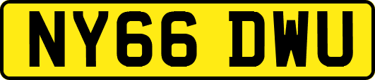 NY66DWU