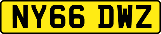 NY66DWZ