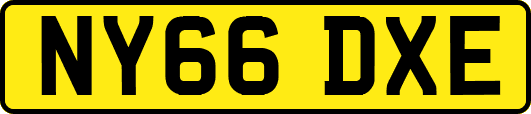 NY66DXE