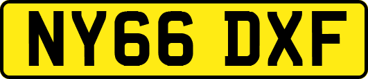 NY66DXF