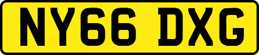 NY66DXG