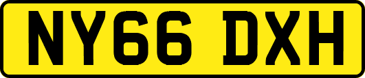 NY66DXH