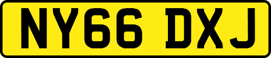 NY66DXJ