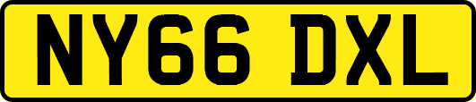 NY66DXL