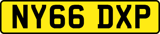 NY66DXP