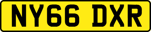 NY66DXR