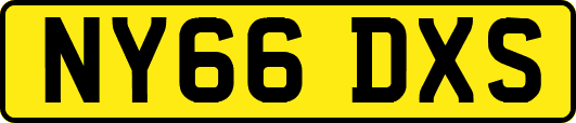 NY66DXS