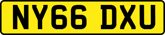 NY66DXU