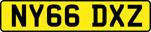 NY66DXZ