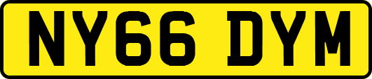 NY66DYM