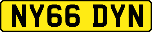 NY66DYN