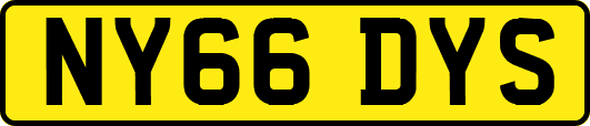 NY66DYS