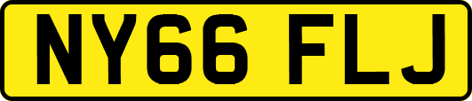 NY66FLJ