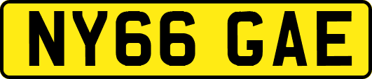 NY66GAE