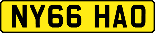 NY66HAO