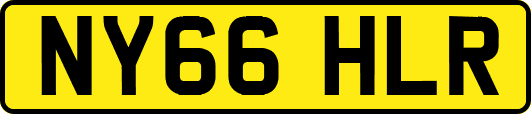 NY66HLR