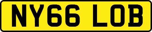 NY66LOB